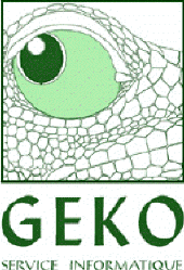 Geko Service